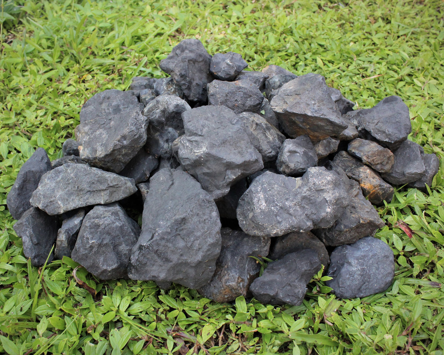 Jumbo Shungite Raw Natural Stones