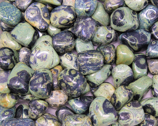 Kambaba Jasper Tumbled Stones