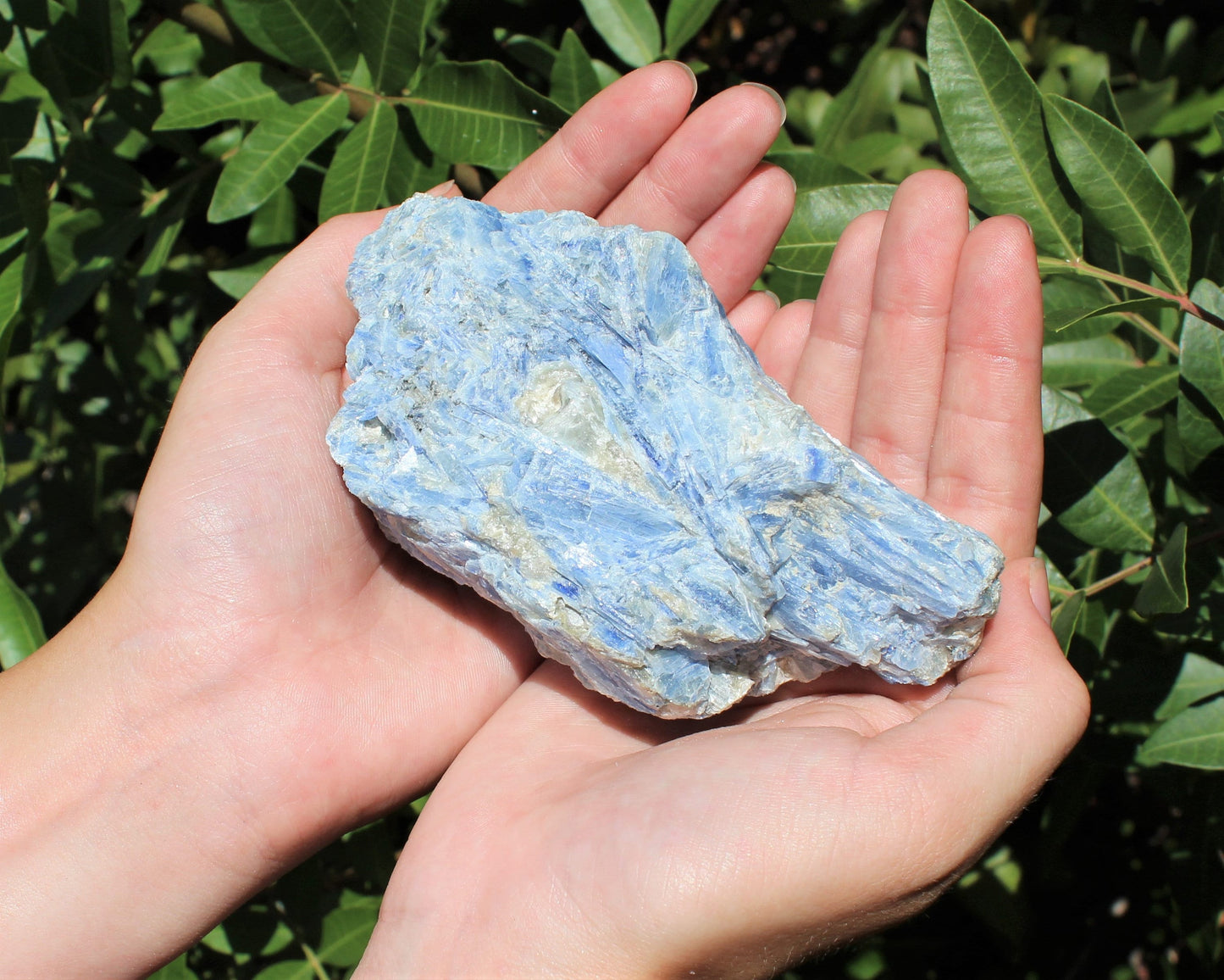 Kyanite With Quartz Crystals