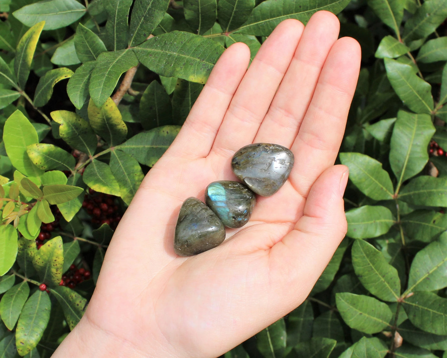 Labradorite Tumbled Premium Grade Stones