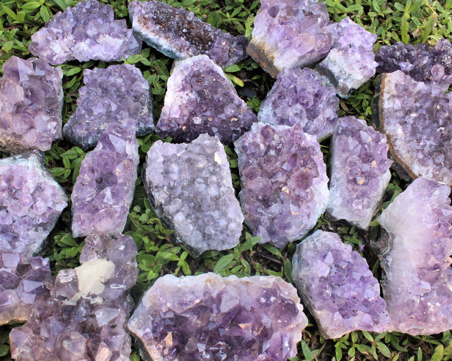 Large Amethyst Crystal Clusters