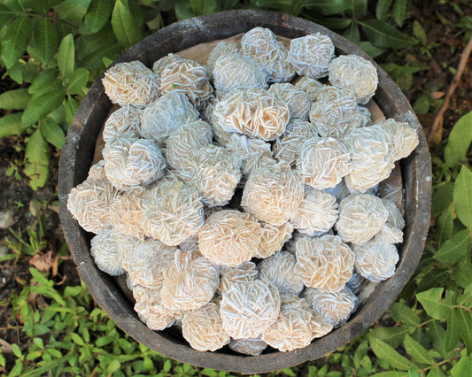 Large Desert Rose Selenite Bud