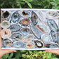 Large Agate Geodes