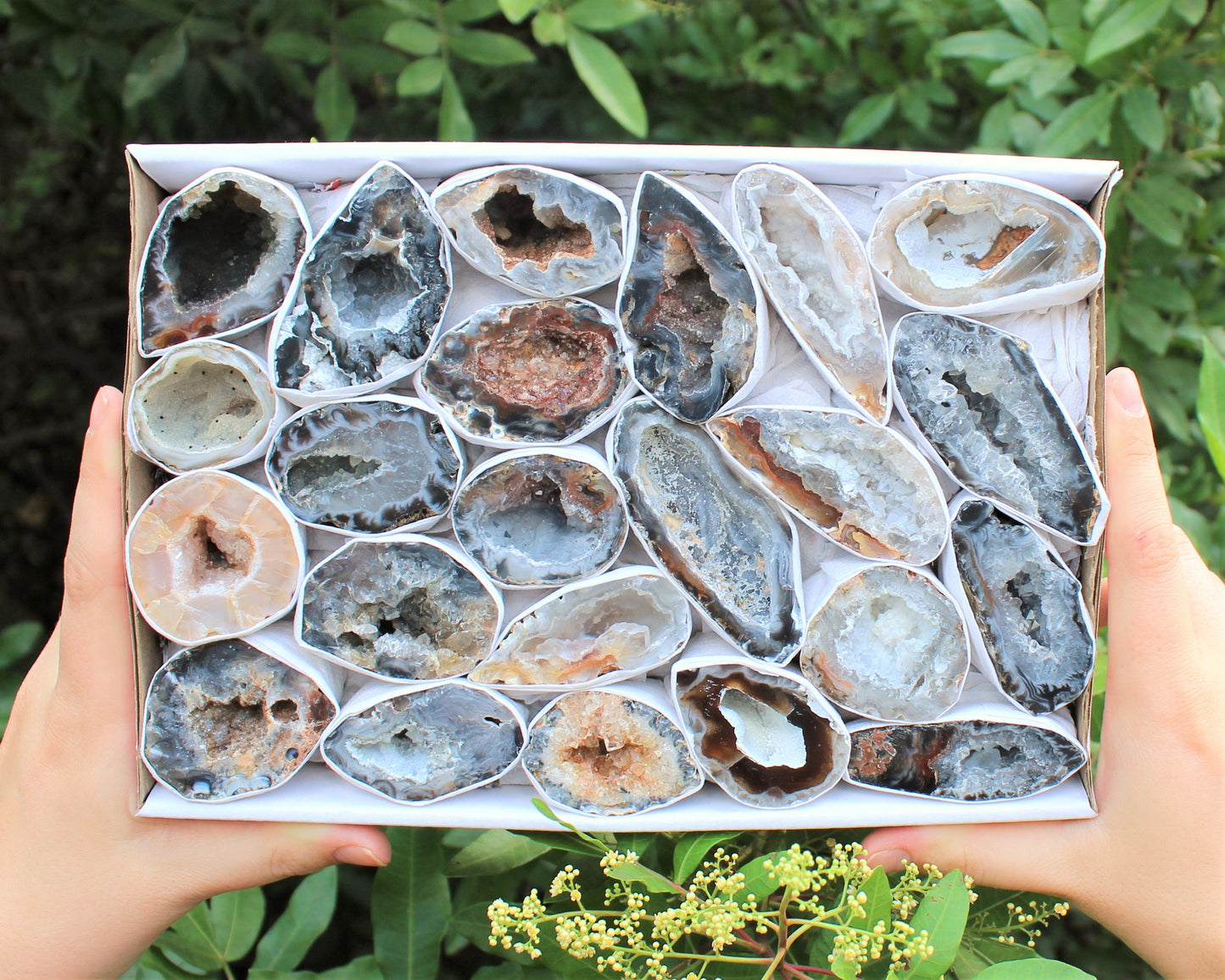 Large Agate Geodes