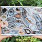 Large Oco Agate Geodes