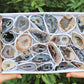 Large Oco Agate Geodes