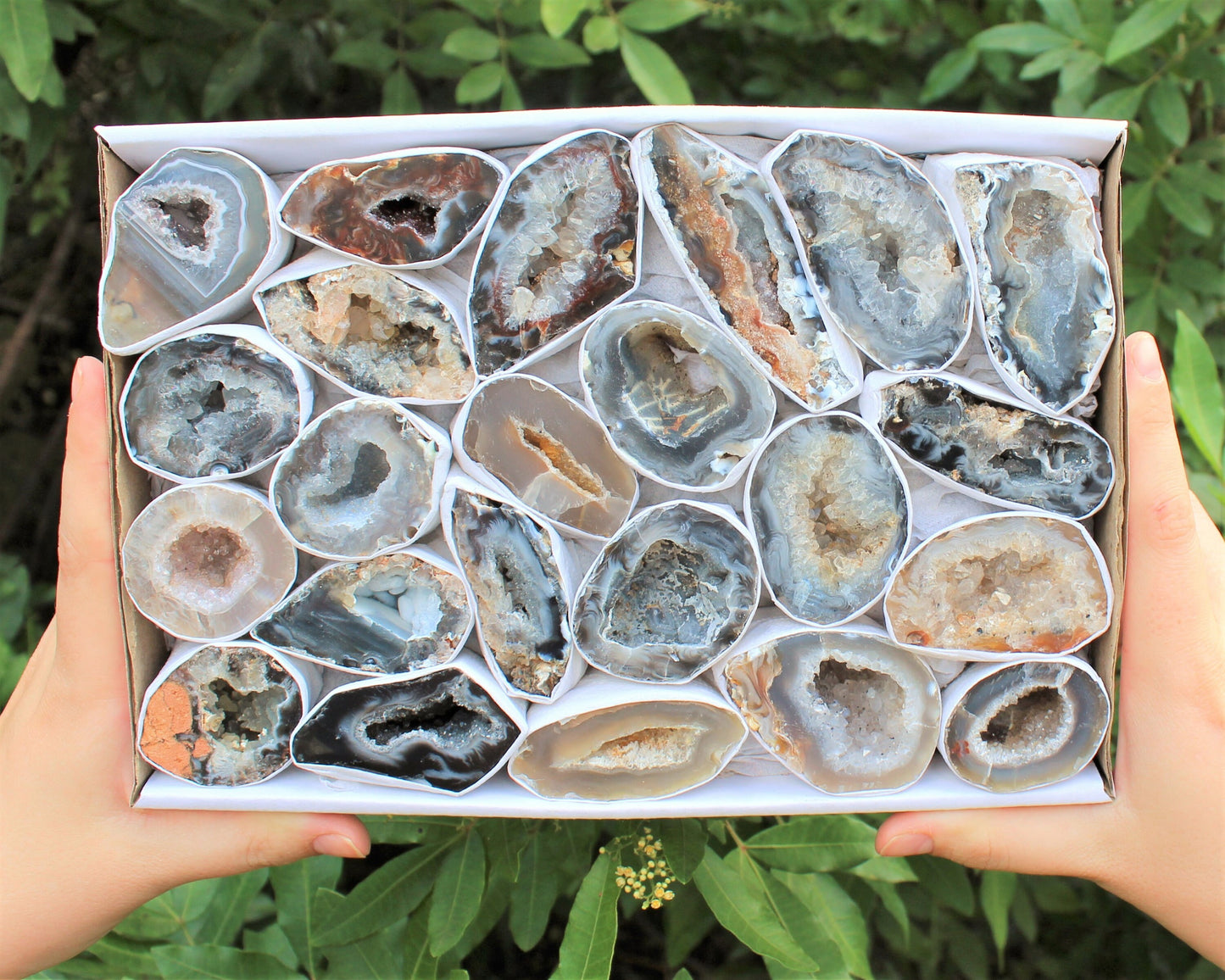 Large Oco Agate Geodes