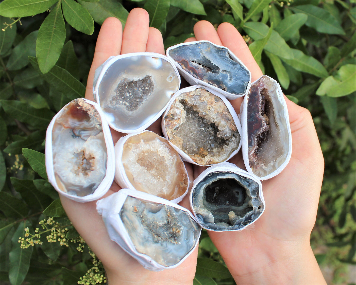 Large Oco Agate Geodes