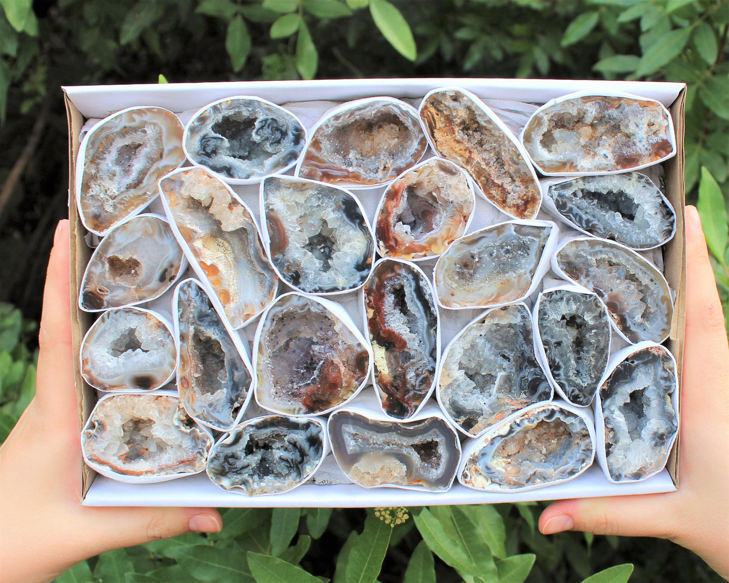 Large Oco Agate Geodes