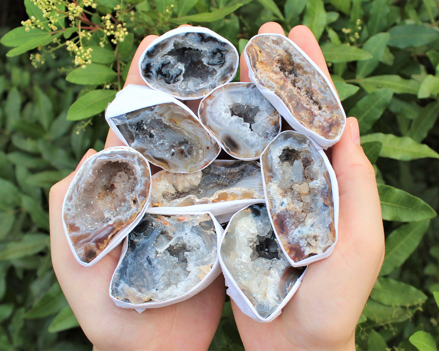 Large Oco Agate Geodes