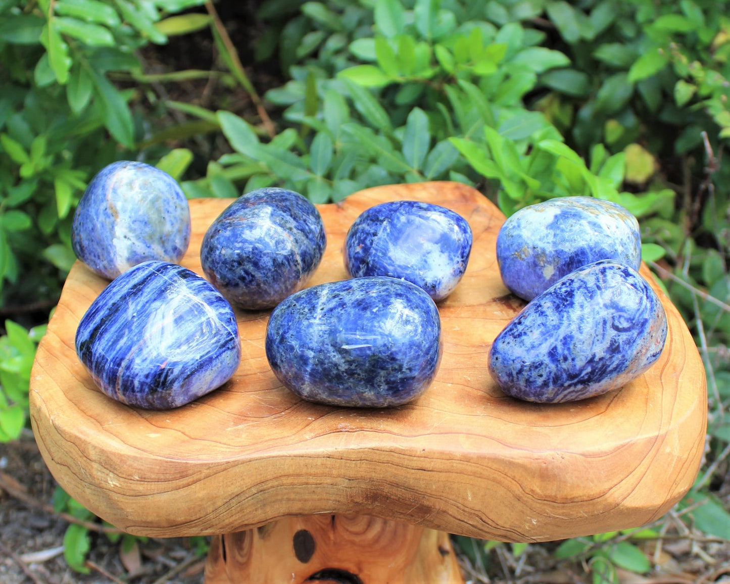 Large Polished Sodalite Stones