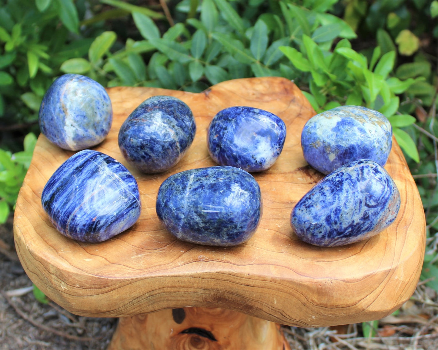 Large Polished Sodalite Stones