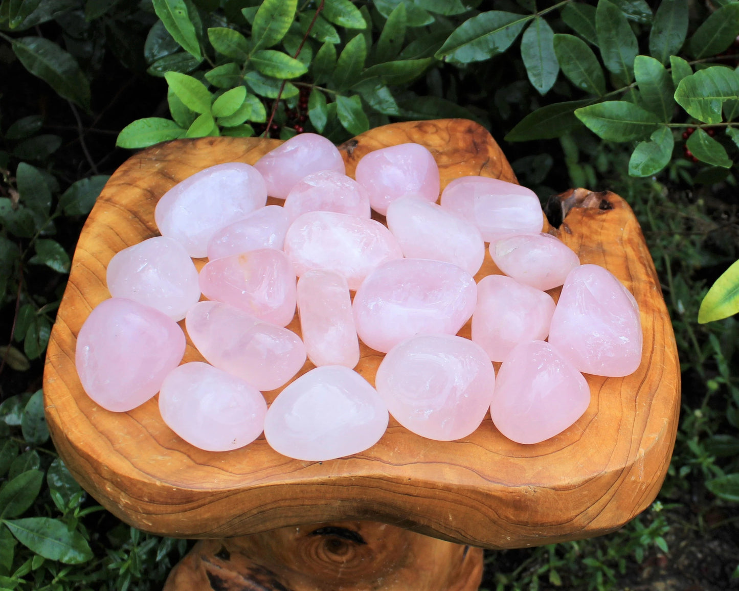 Large Rose Quartz Tumbled Stones