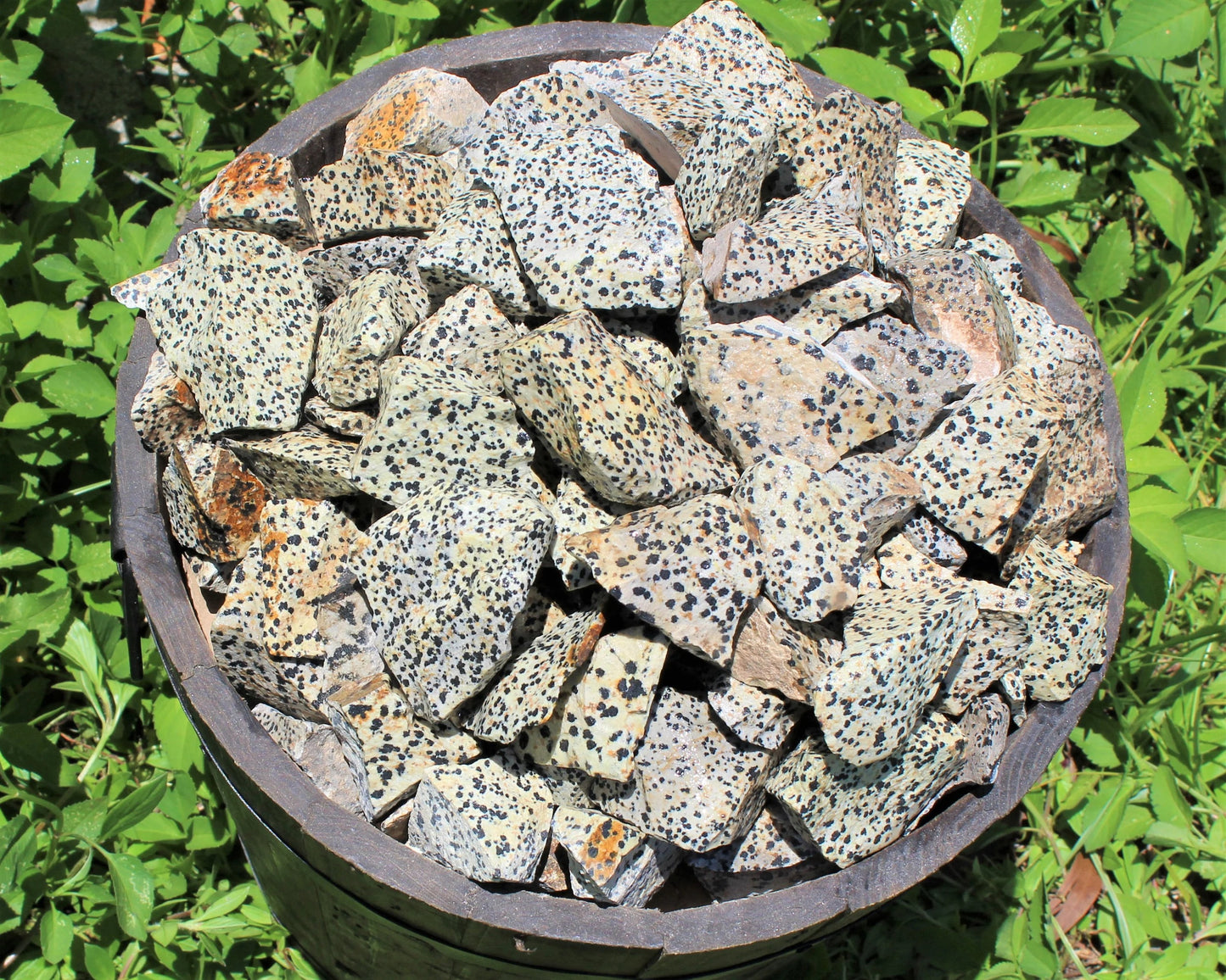 Large Rough Dalmation Jasper Natural Stones