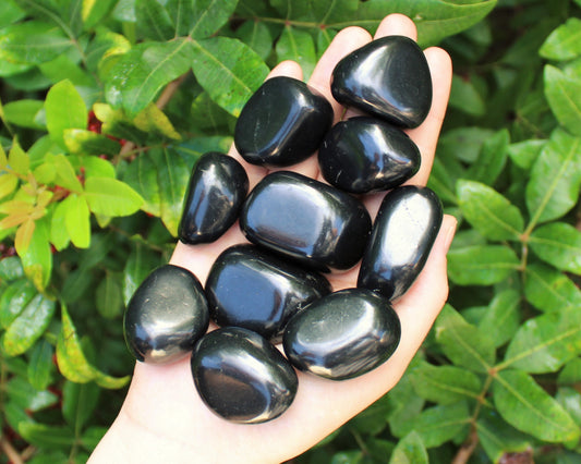 Large Shungite Tumbled Stones