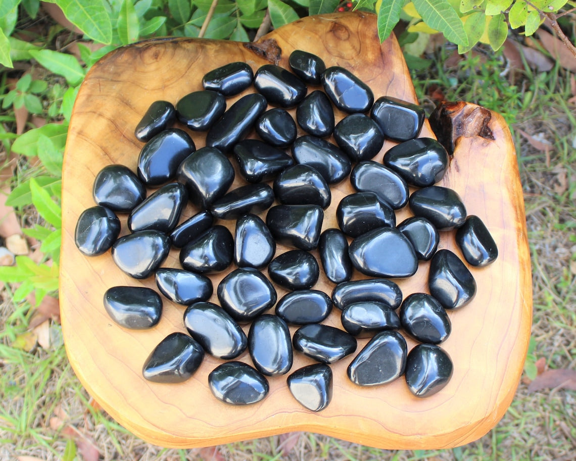 Large Shungite Tumbled Stones