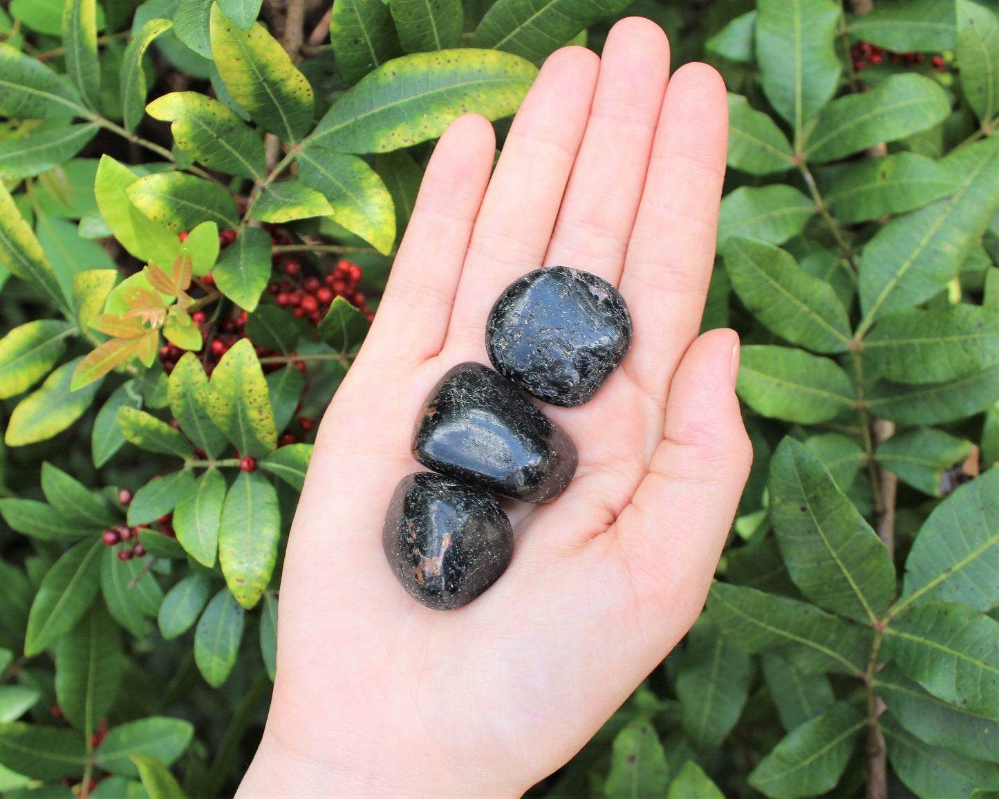 Large Tourmaline Tumbled Stones