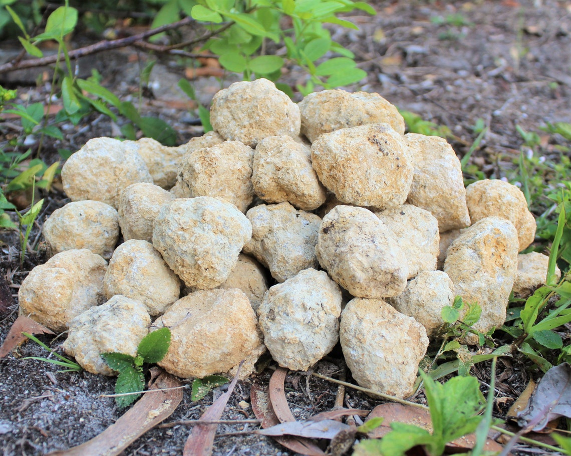 Large Unopened Moroccan Crystal Quartz Geodes