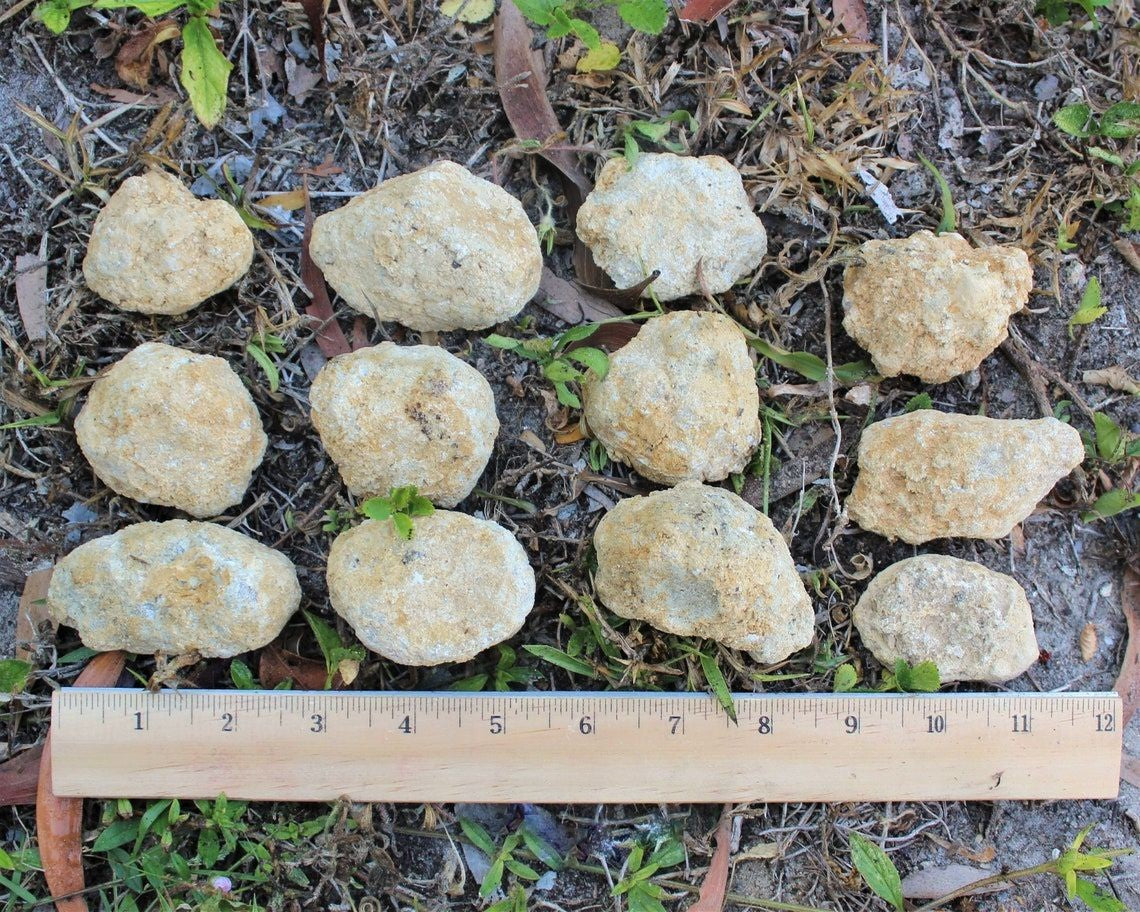 Large Unopened Moroccan Crystal Quartz Geodes