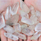 Lemurian Seed Quartz Natural Crystal Points