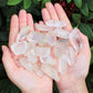 Lemurian Seed Quartz Natural Crystal Points