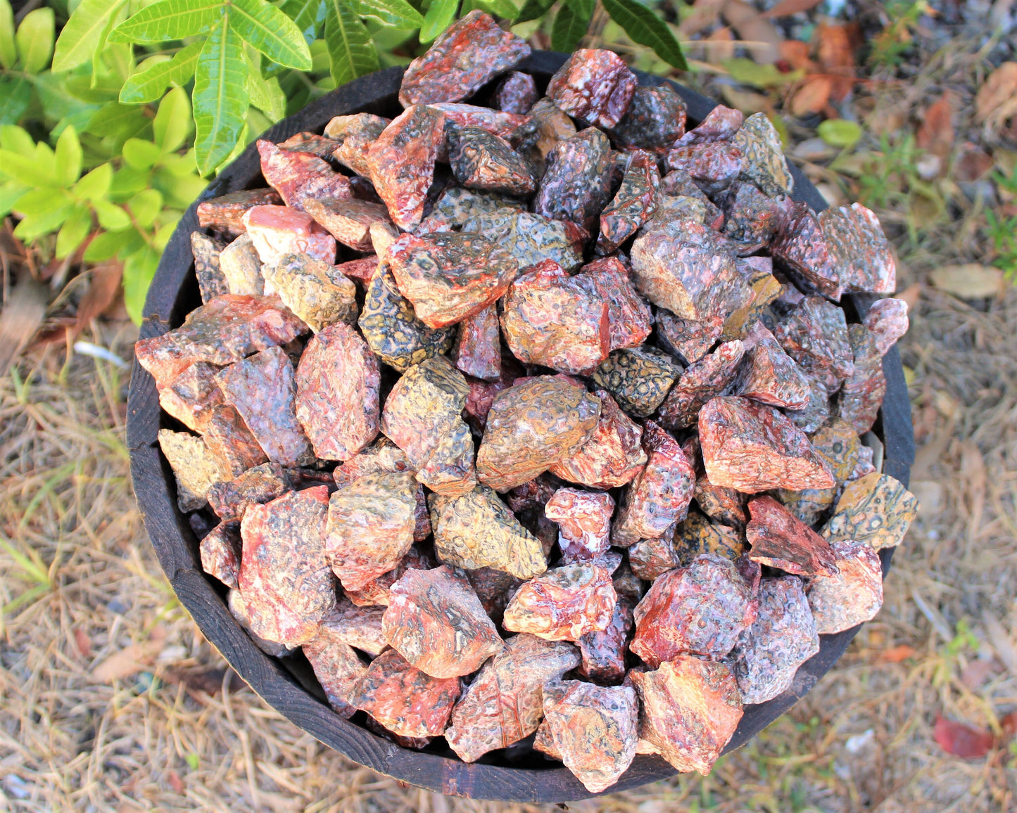 Leopard Pattern Jasper Natural Rough Stones