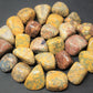 Leopard Pattern Jasper Tumbled Stones