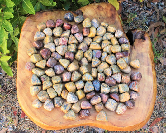 Leopard Pattern Jasper Tumbled Stones