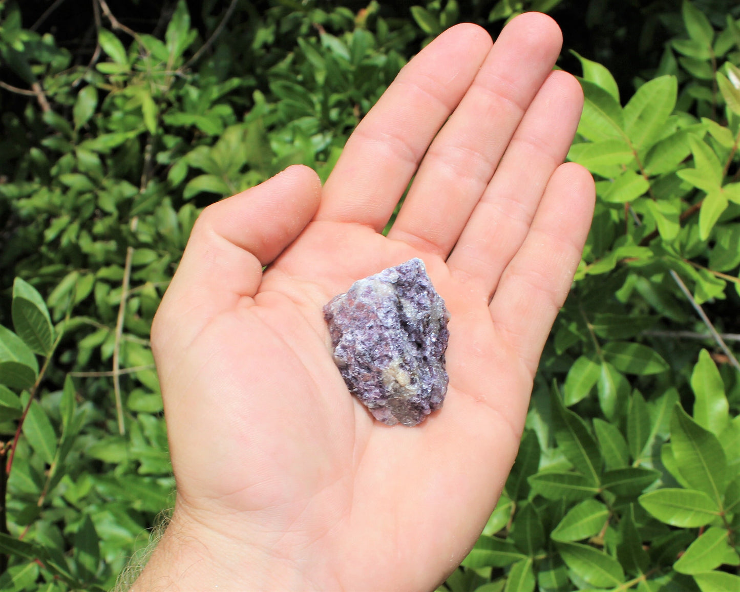 Lepidolite Raw Natural Premium Grade Stones