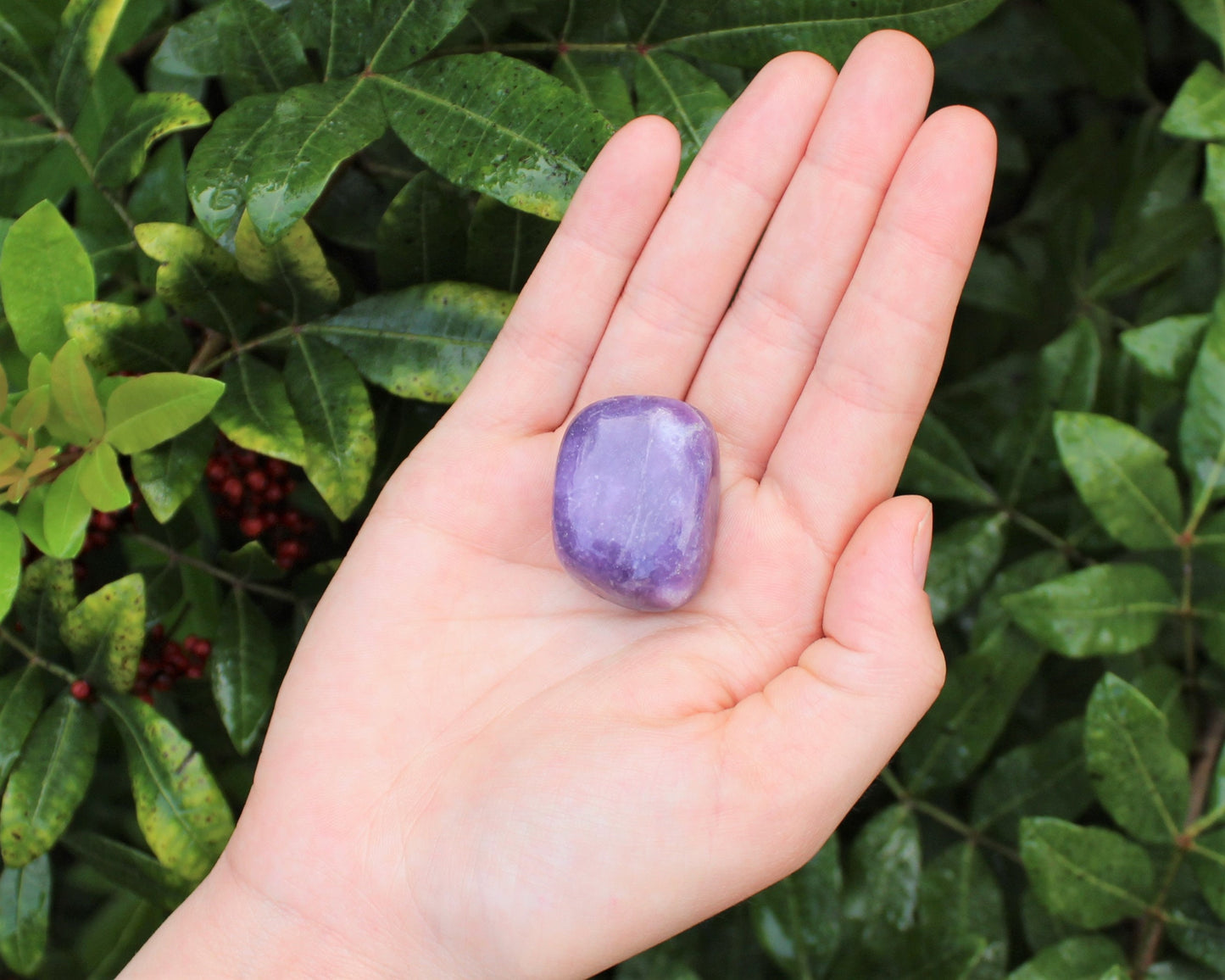 Lepidolite Tumbled Stones