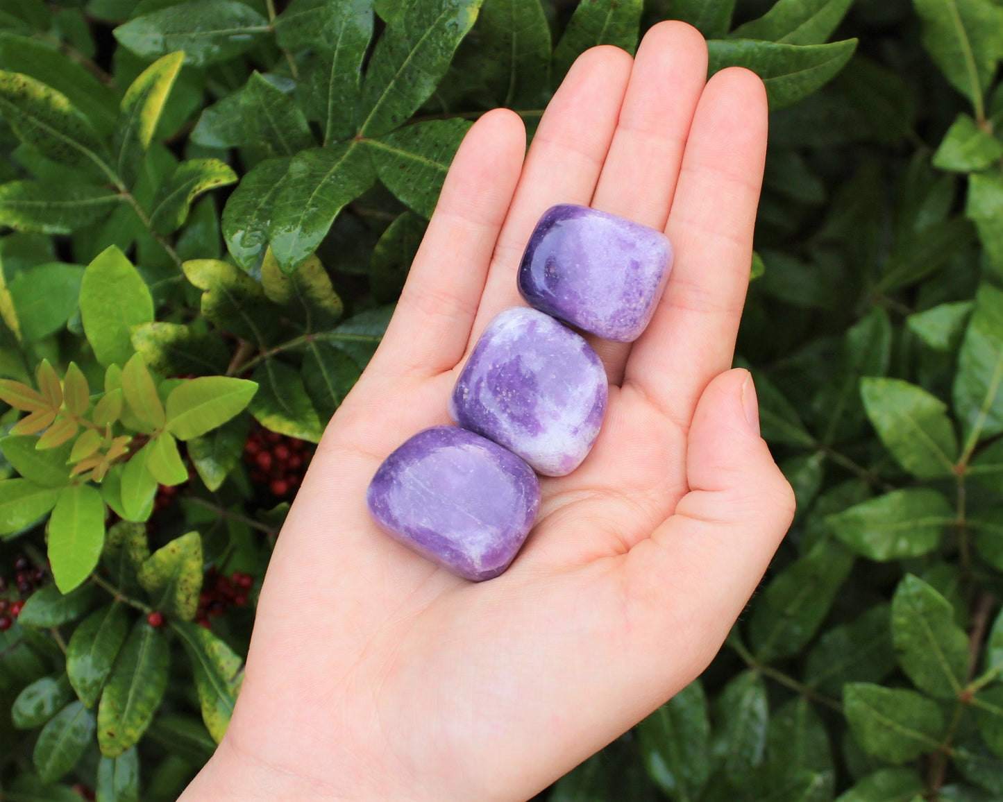 Lepidolite Tumbled Stones