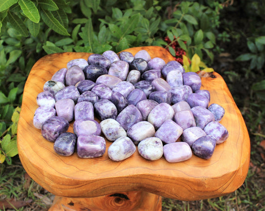 Lepidolite Tumbled Stones