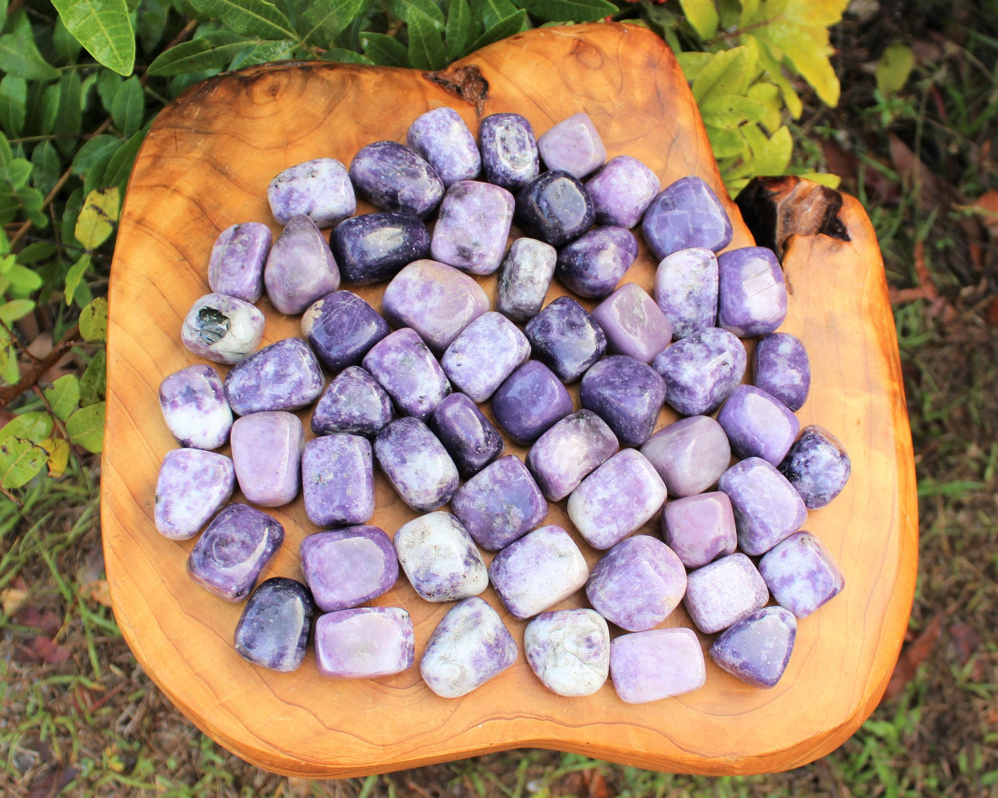 Lepidolite Tumbled Stones