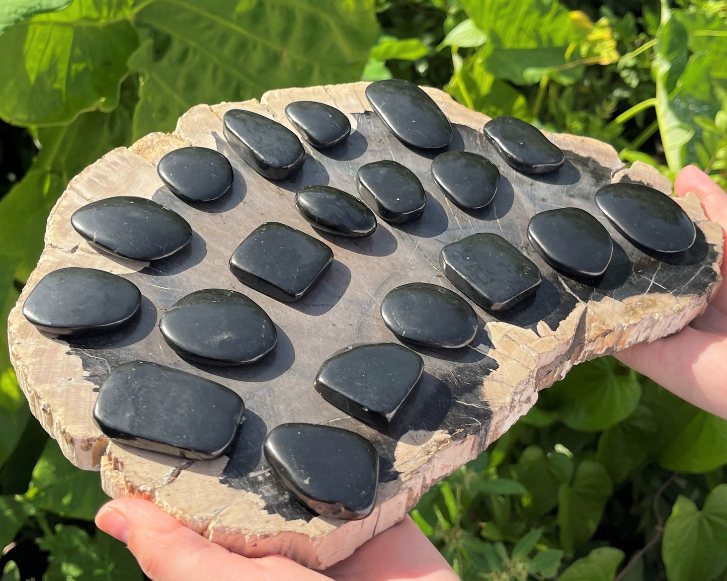 Medium Size Shungite Stone