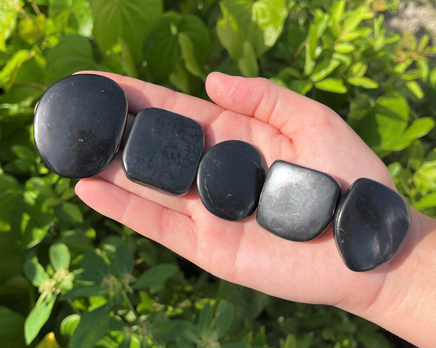 Medium Size Shungite Stone