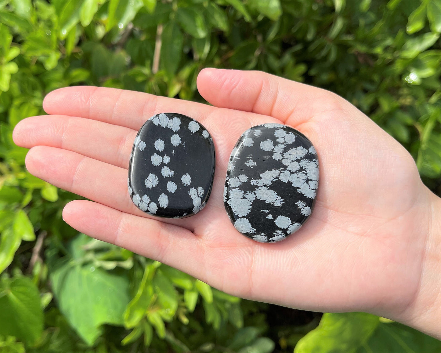 Medium Snowflake Obsidian Stone