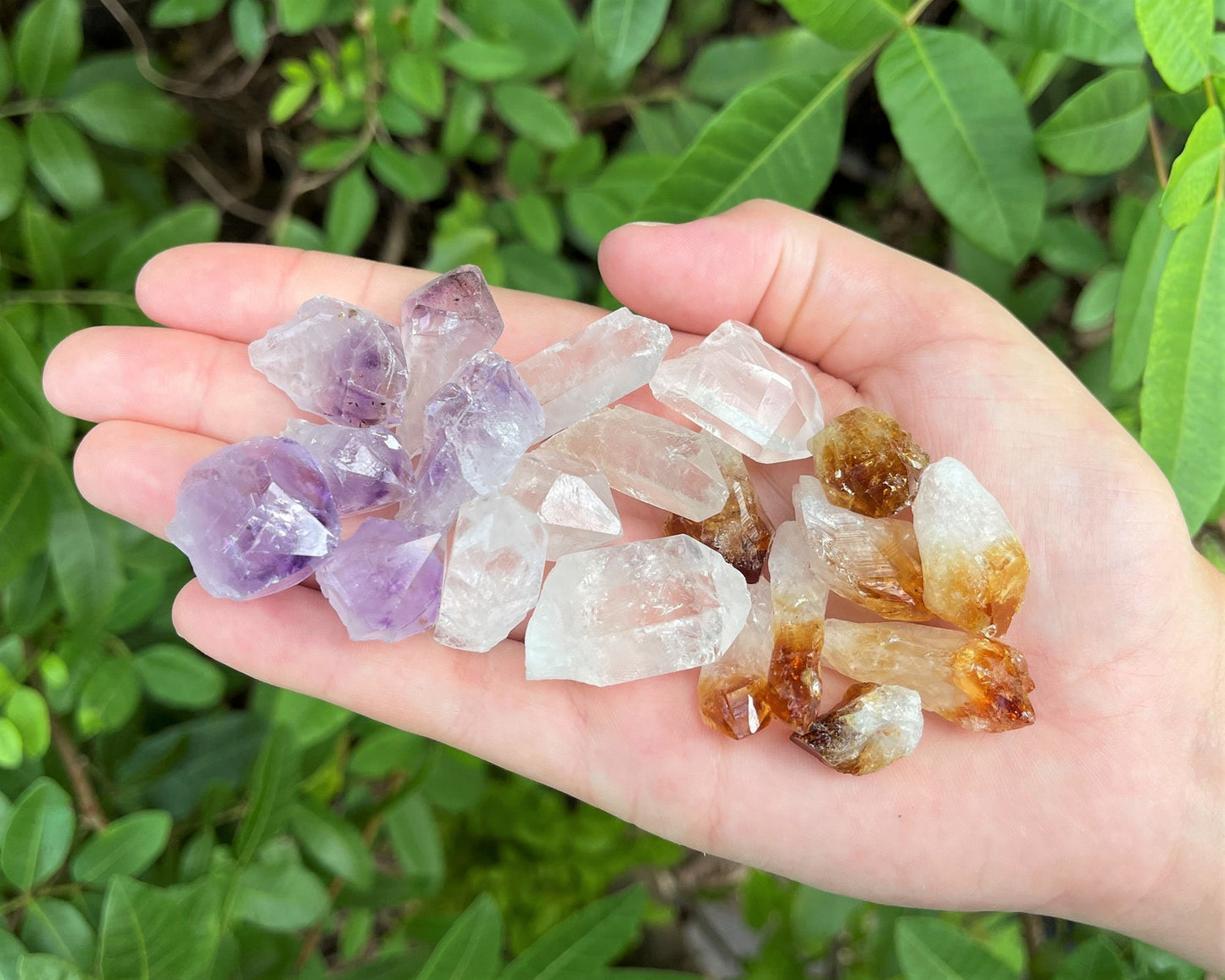 Mixed Amethyst Citrine And Clear Quartz Crystal Points