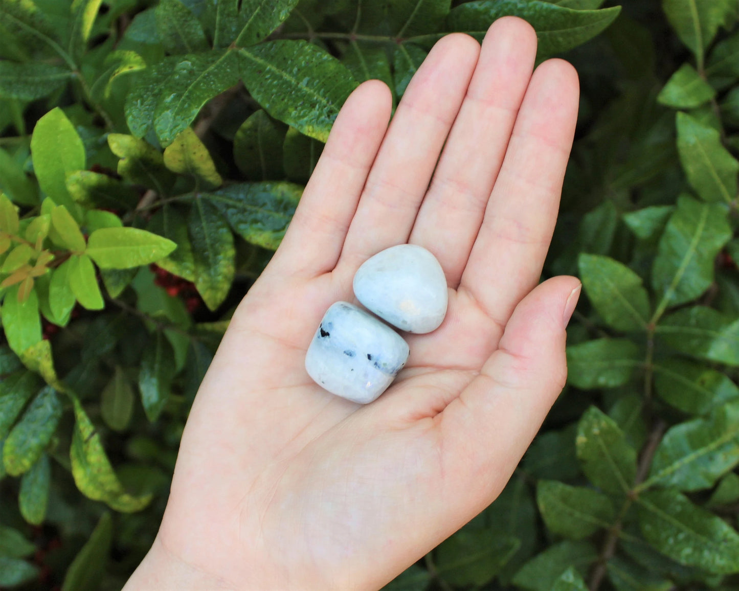 Moonstone Grade Tumbled Stones