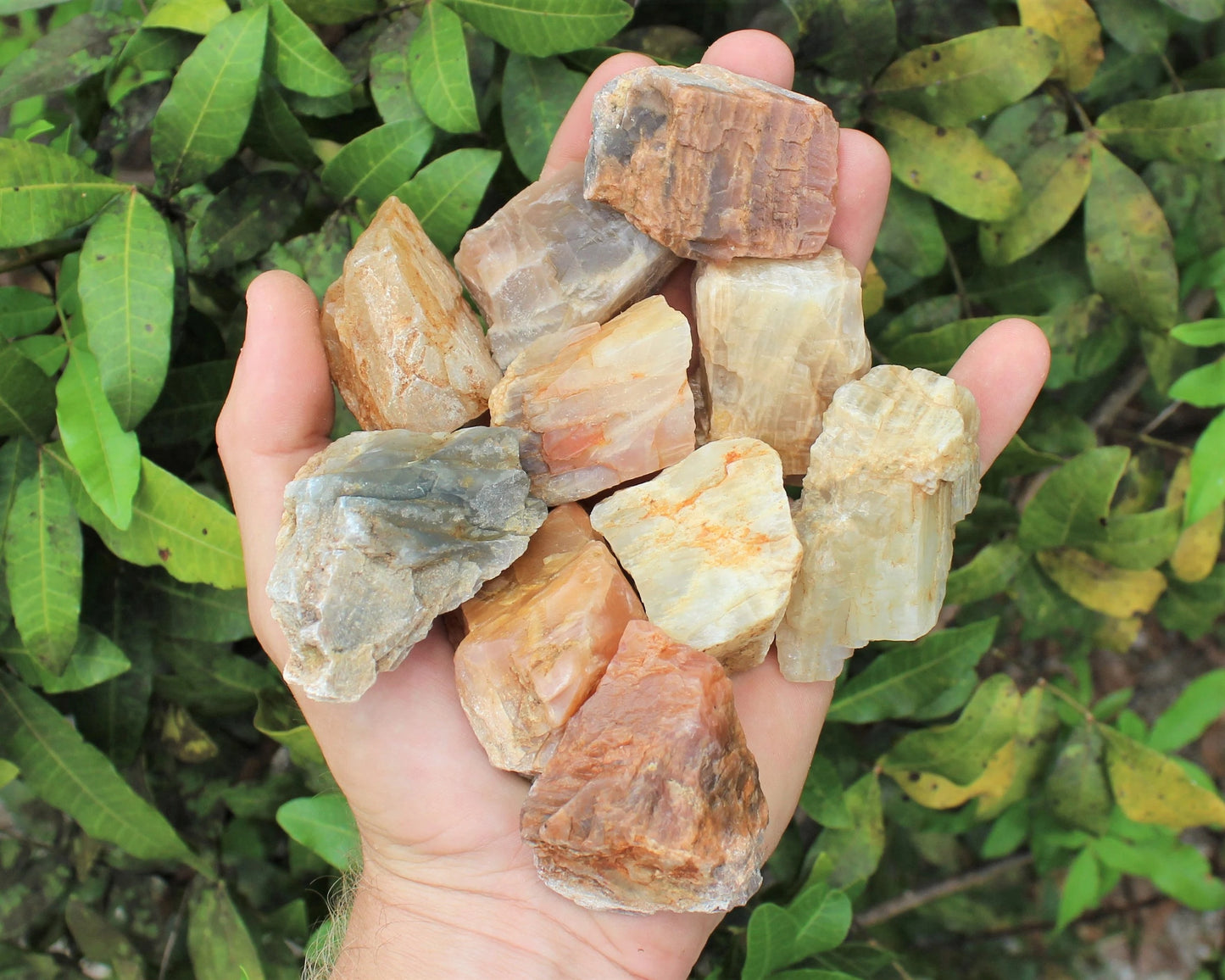 Moonstone Rough Natural Stones