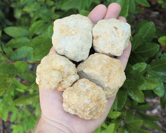 Radiant Moroccan Quartz Geodes