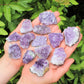 Natural Amethyst Cluster Druze Collection