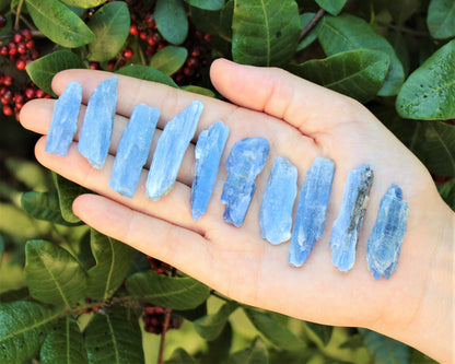 Natural Kyanite Blades