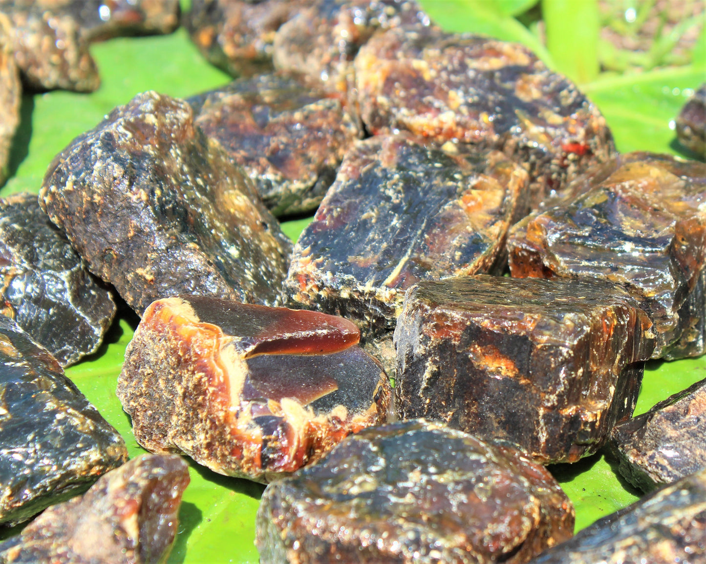 Natural Indonesian Amber
