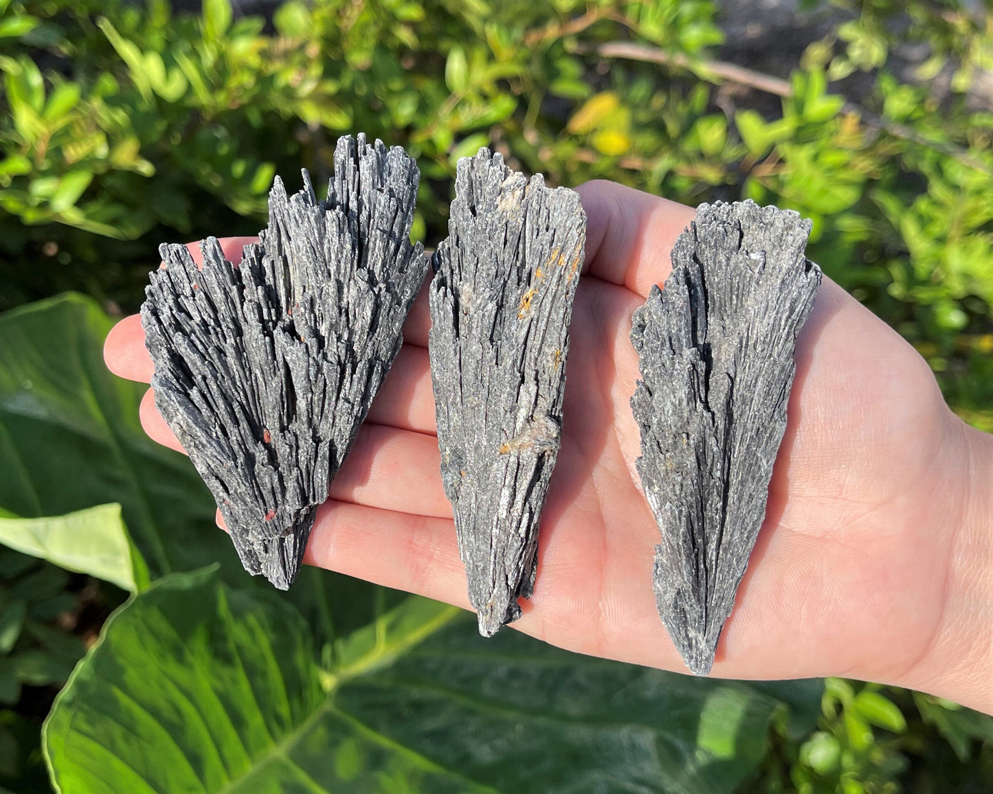 Natural Kyanite Blades
