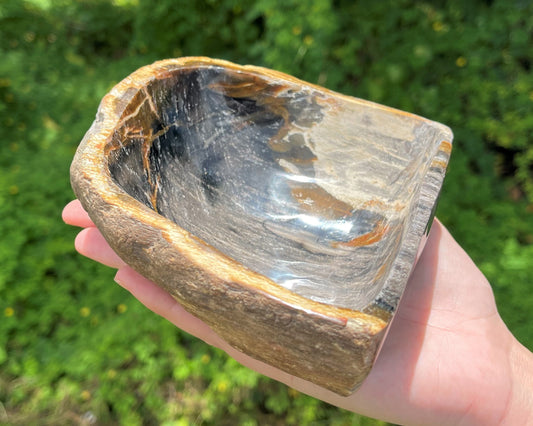 Natural Petrified Wood Bowl