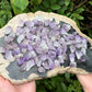 Natural Raw Amethyst Points