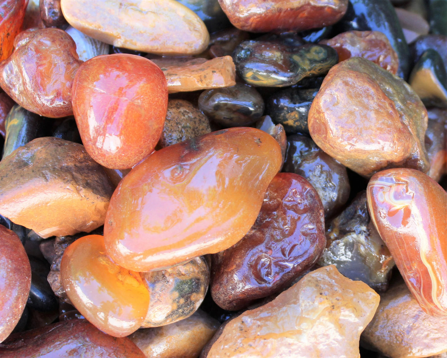 Natural Rough Carnelian Stones