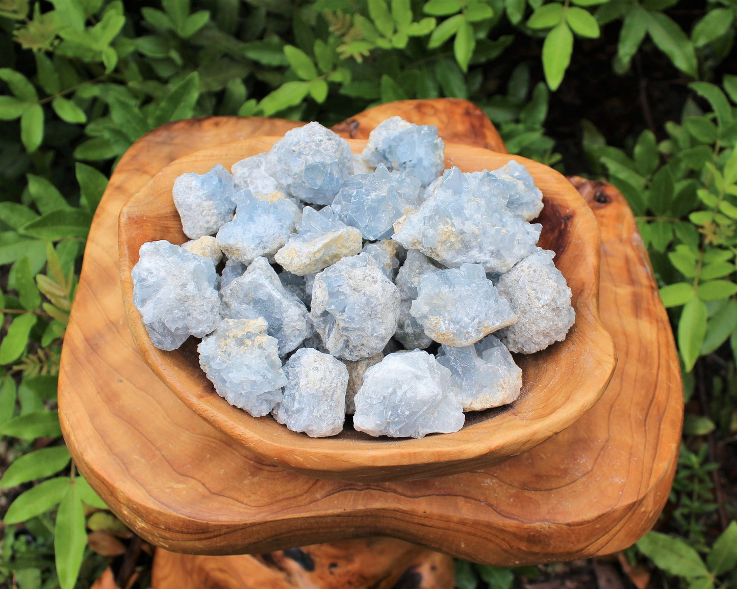 Natural Small Celestite Clusters