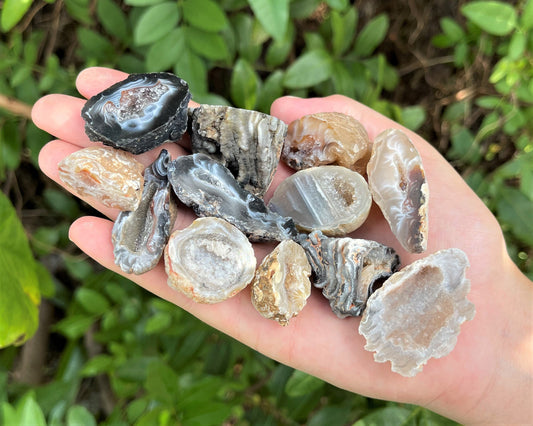 Oco Agate Geodes