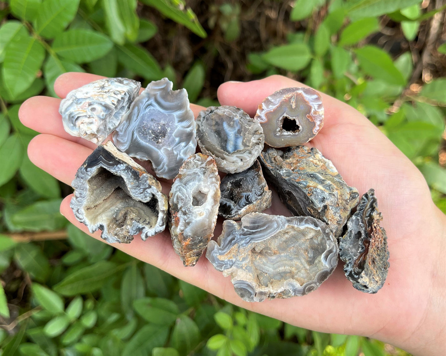 Oco Agate Geodes